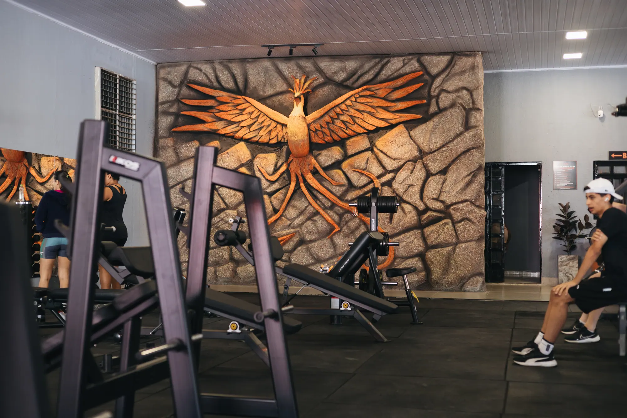 Parede com a fênix esculpida em relevo na sala de treino da TARG